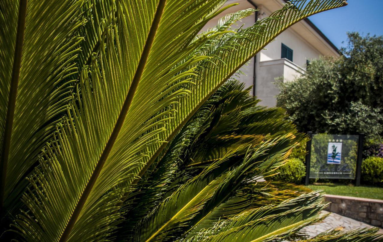 Oliveto A Mare - Suite & Apartment Ascea Exterior photo